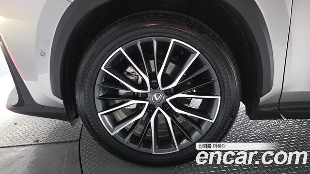 Lexus NX 2025 — photo 5