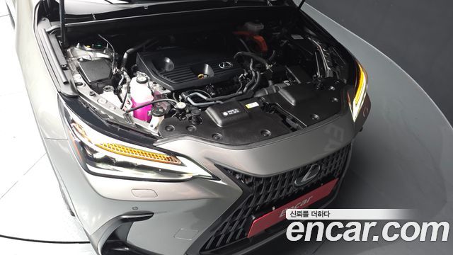 Lexus NX 2025 — photo 6