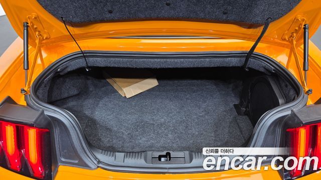 Ford Mustang 2019 — photo 24