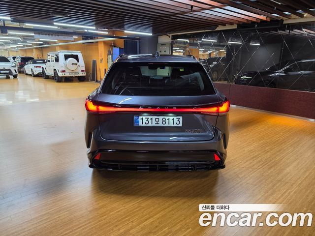 Lexus RX 2025 — photo 4