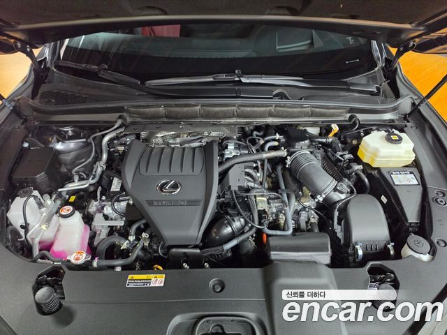 Lexus RX 2025 — photo 6