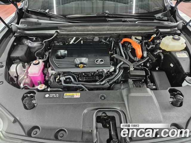 Lexus RX 2025 — photo 19
