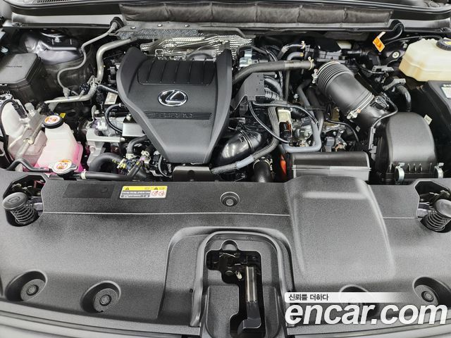 Lexus RX 2025 — photo 6