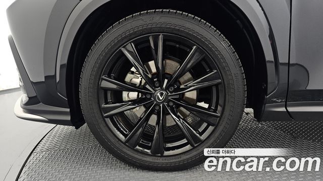 Lexus NX 2025 — photo 5