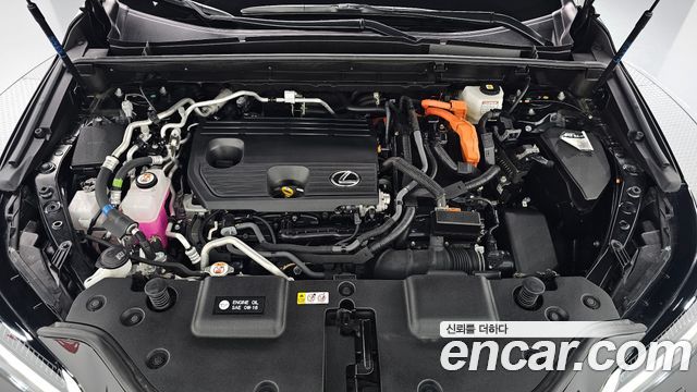 Lexus NX 2025 — photo 6
