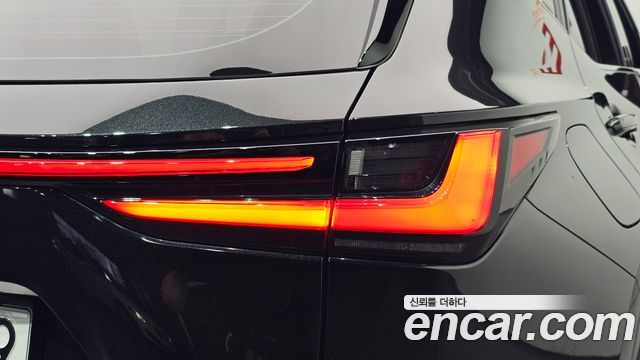 Lexus NX 2025 — photo 9
