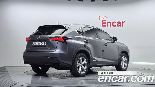 Lexus NX 2017 — photo 2