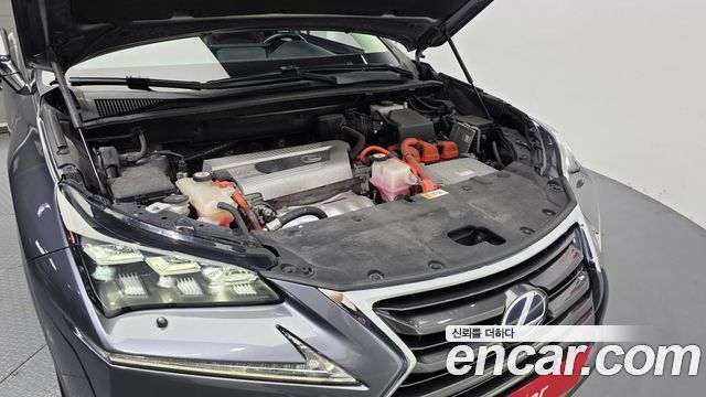 Lexus NX 2017 — photo 6