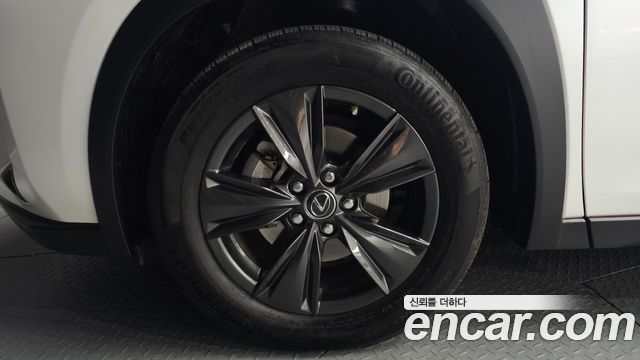 Lexus UX 2019 — photo 5