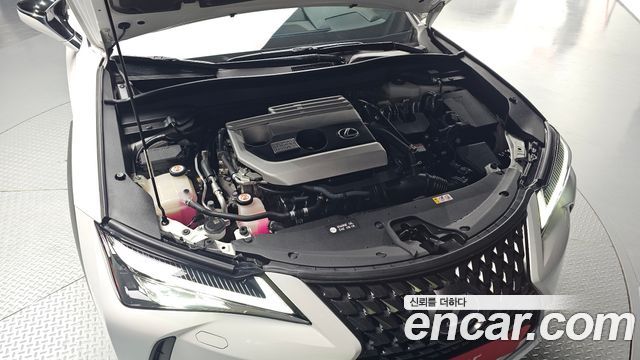 Lexus UX 2019 — photo 6