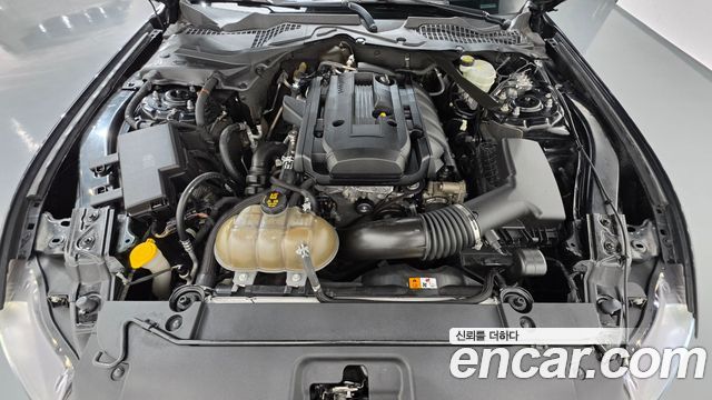Ford Mustang 2015 — photo 6
