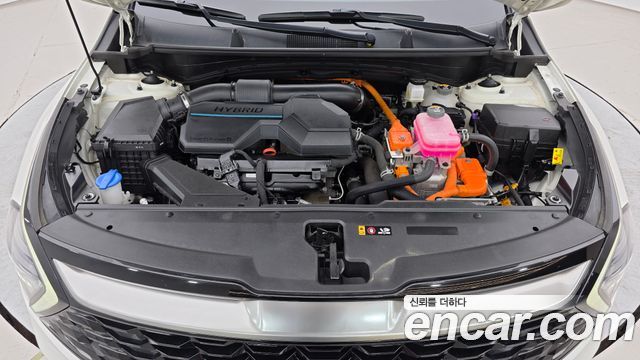 Kia Sportage 2023 — photo 6