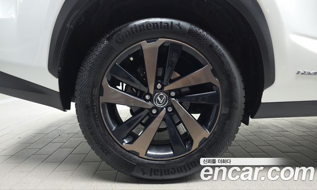 Lexus NX 2019 — photo 5