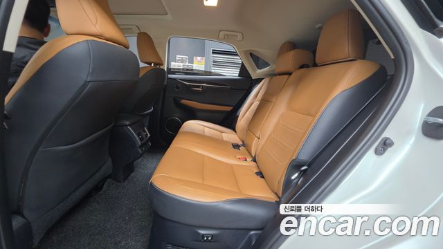 Lexus NX 2019 — photo 18