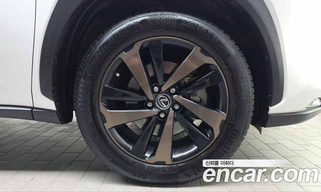 Lexus NX 2019 — photo 7
