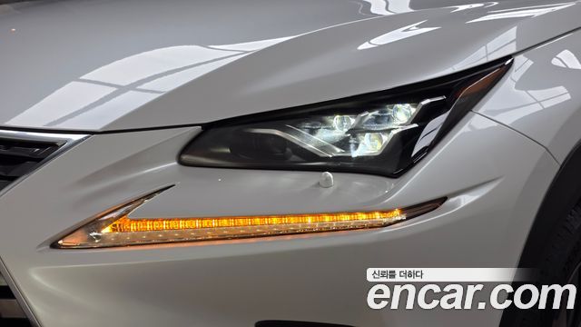 Lexus NX 2019 — photo 8