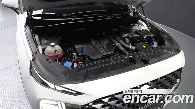 Hyundai Santafe 2022 — photo 6