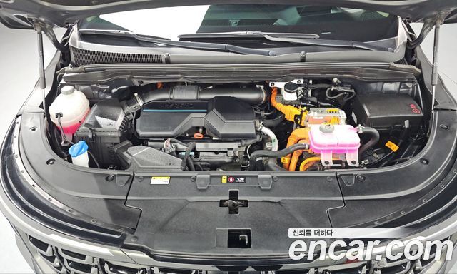 Kia Canival 2025 — photo 6