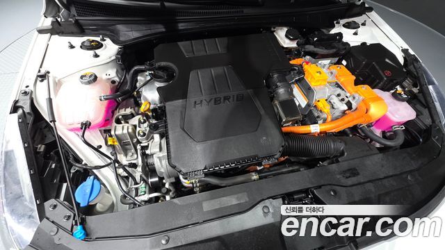 Hyundai AVANTE 2023 — photo 6