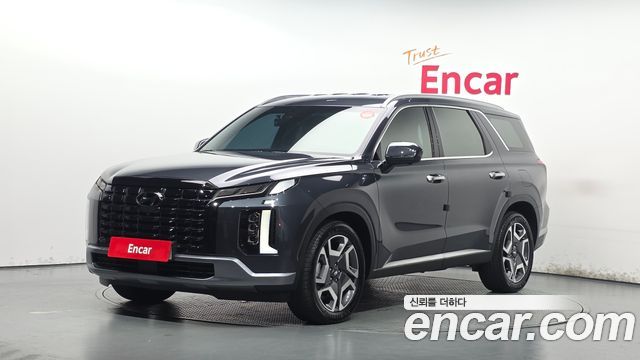 Hyundai Palisade 2024 — photo 1