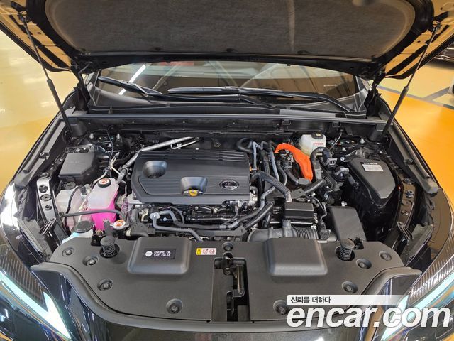 Lexus NX 2026 — photo 6