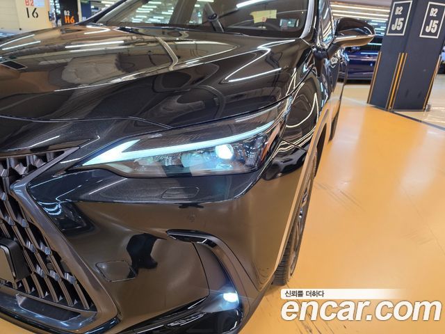 Lexus NX 2026 — photo 17