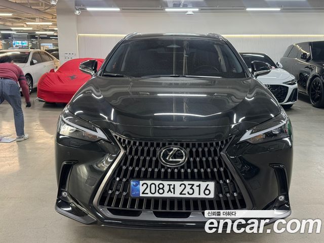 Lexus NX 2026 — photo 1