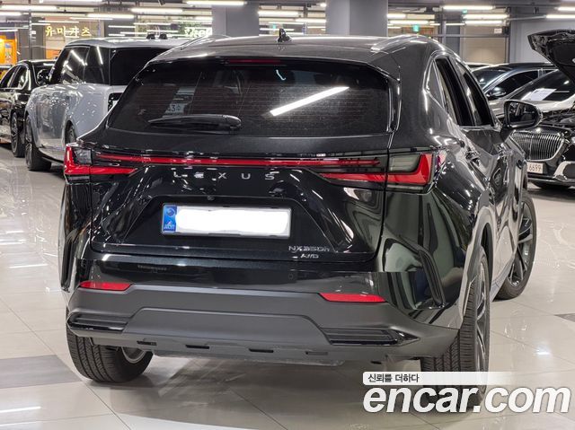 Lexus NX 2026 — photo 3