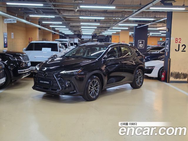 Lexus NX 2025 — photo 1