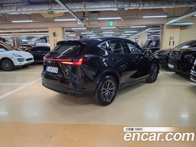 Lexus NX 2025 — photo 2