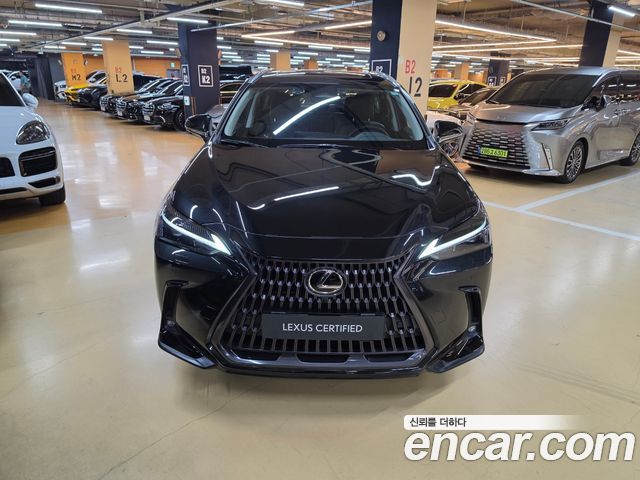 Lexus NX 2025 — photo 3