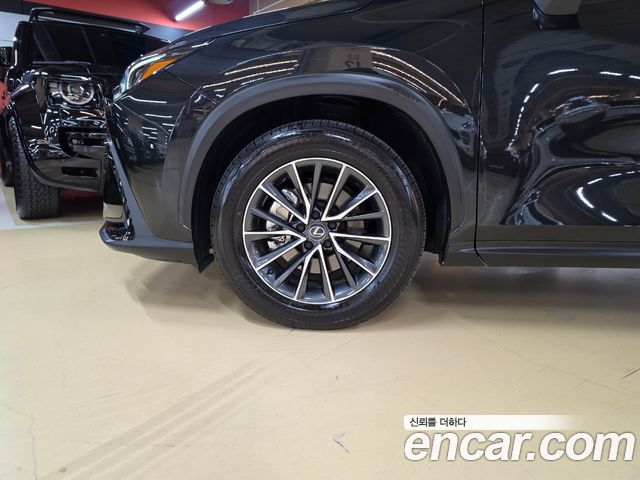 Lexus NX 2025 — photo 5