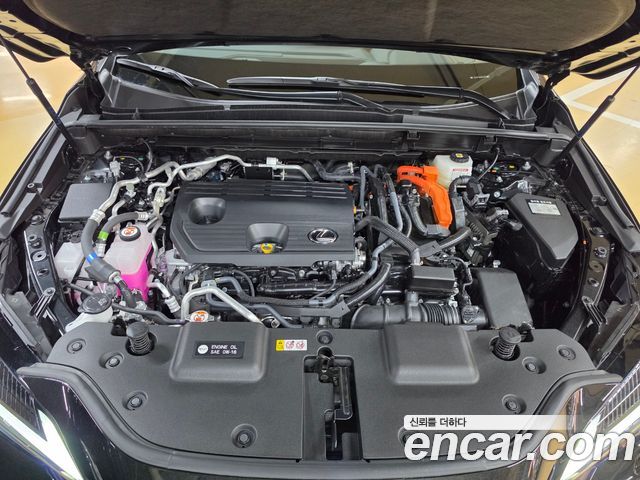 Lexus NX 2025 — photo 6