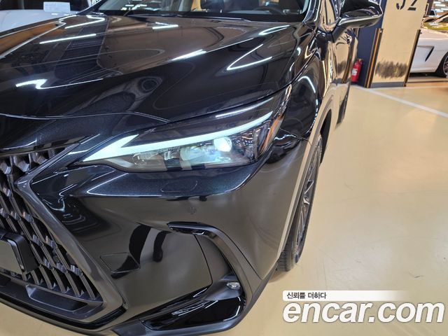 Lexus NX 2025 — photo 16