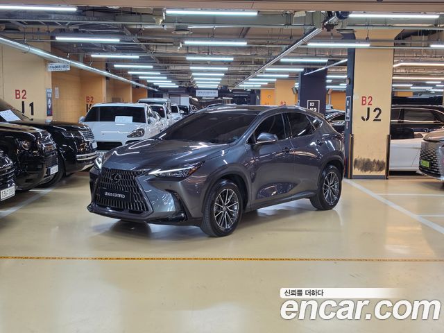 Lexus NX 2024 — photo 1