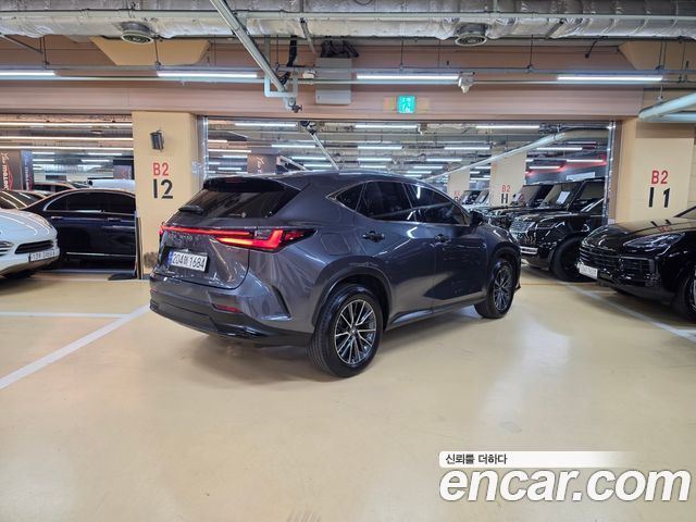 Lexus NX 2024 — photo 2