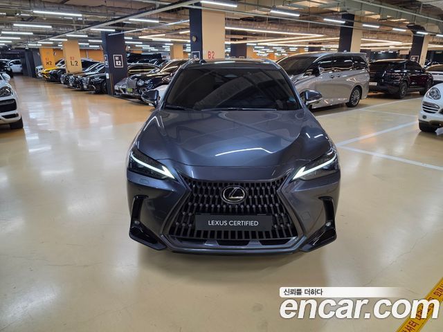 Lexus NX 2024 — photo 3