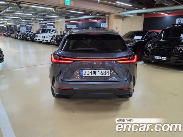 Lexus NX 2024 — photo 4