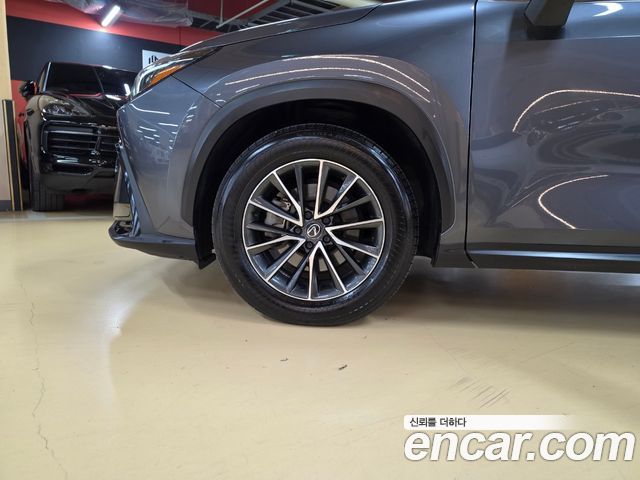 Lexus NX 2024 — photo 5