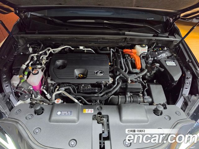 Lexus NX 2024 — photo 6