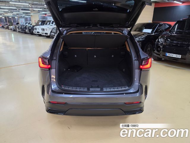 Lexus NX 2024 — photo 13