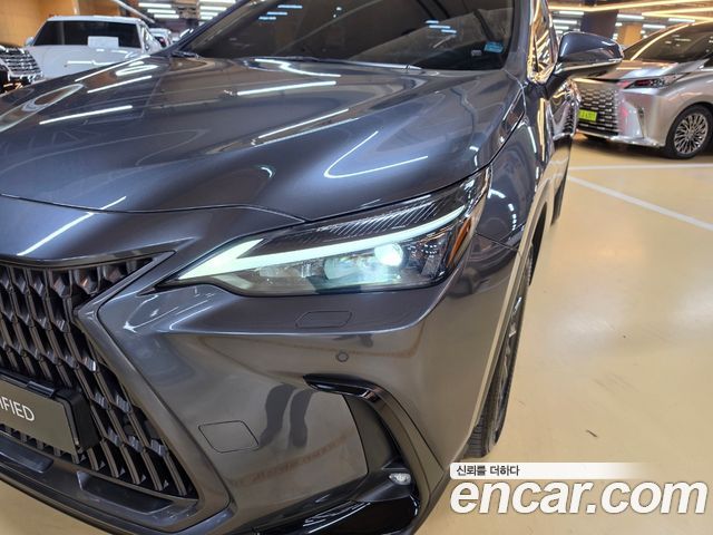 Lexus NX 2024 — photo 16