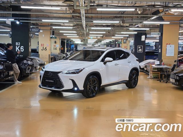 Lexus NX 2026 — photo 1