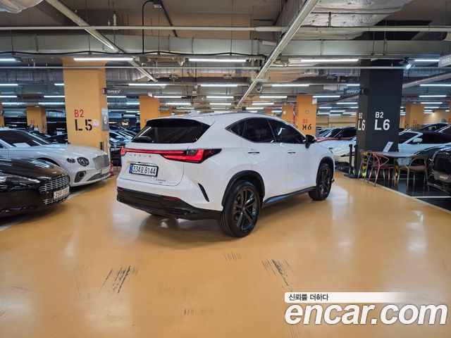 Lexus NX 2026 — photo 2