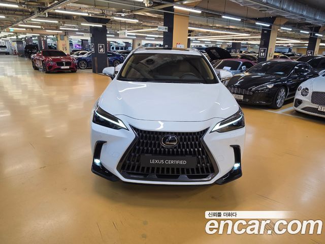 Lexus NX 2026 — photo 3