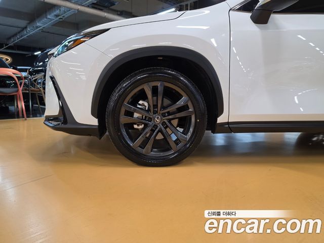 Lexus NX 2026 — photo 5