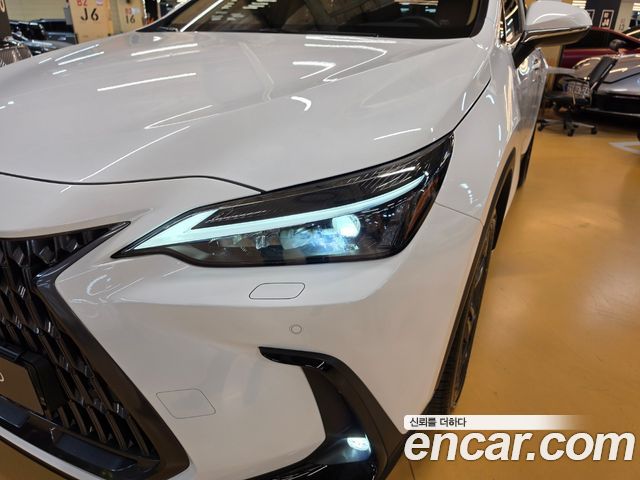 Lexus NX 2026 — photo 16