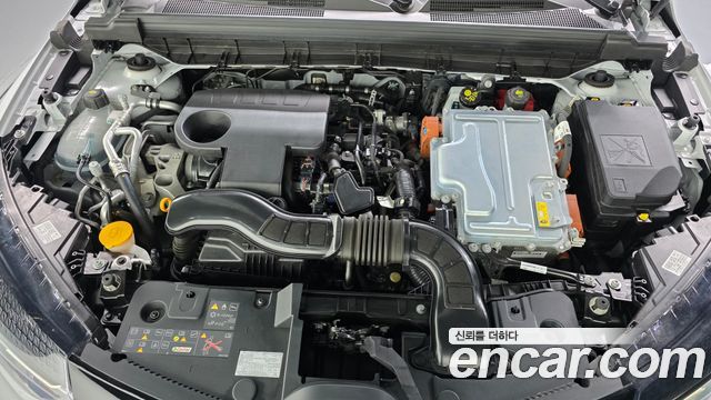 Renault Korea Arkana 2025 — photo 6