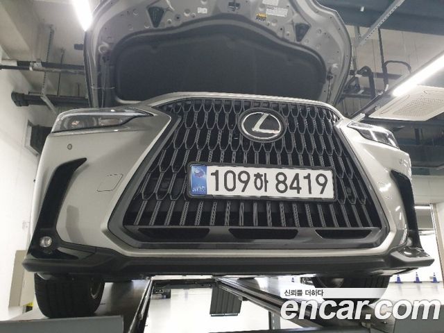 Lexus NX 2026 — photo 1