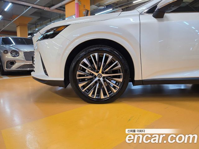 Lexus RX 2025 — photo 5